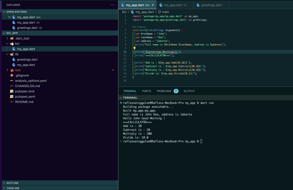 dart programming basic