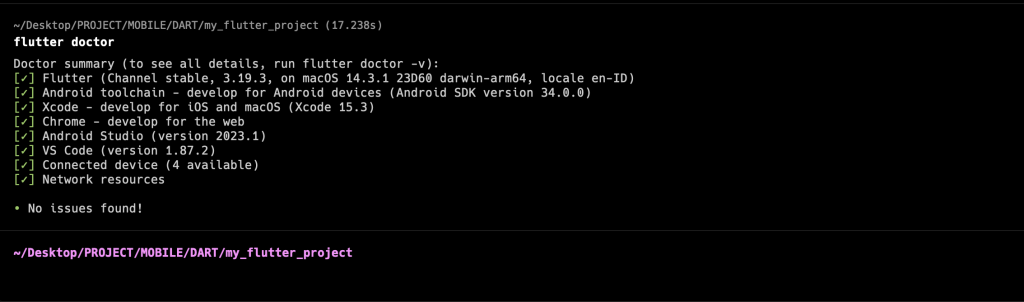 flutter doctor analisys